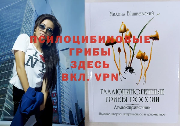 ECSTASY Верхний Тагил