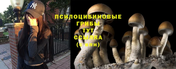 ECSTASY Верхний Тагил